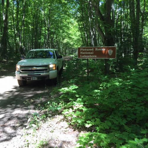 Submitted by John Wagensomer
